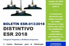 Empresa Socialmente Responsable N° 13