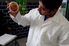 Microbiología y Toxicología de los alimentos