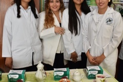 Exposición de proyectos de emprendimiento