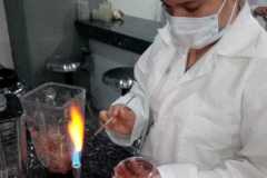 Microbiología y Toxicología de los alimentos