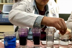 La Universidad Hipócrates fomenta la cultura científica