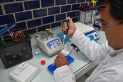 Conoce las investigaciones realizadas por el Laboratorio de Biología Molecular de la Universidad Hipócrates