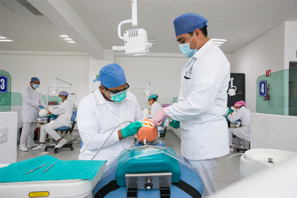 Jóvenes alumnos de la especialidad de endodoncia realizando prácticas en simuladores de laboratorios de Universidad Hipócrates.