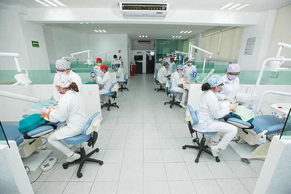 Grupo de alumnos de la especialidad de implantología realizando prácticas en los equipados laboratorios de Universidad de Hipócrates.