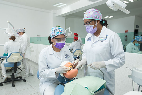 Estudiantes de odontología realizando práctica sobre limpieza bucal en laboratorios de Universidad Hipócrates.