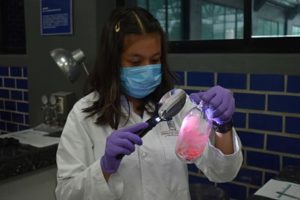 Los alumnos realiza la práctica de huellas dactilares.