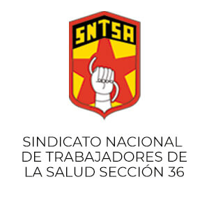 logo SNTSA