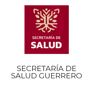 logo Secretaría de salud Guerrero