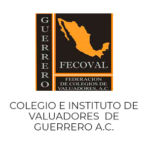 logo Colegio en instituto de valuadores de Guerrero