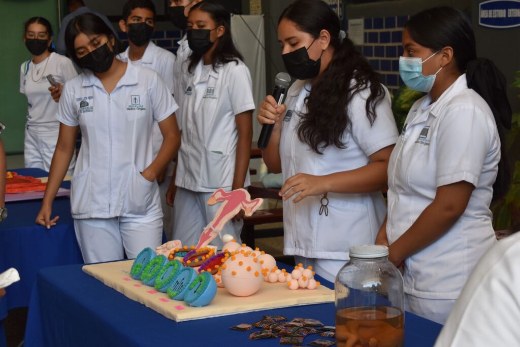 Maquetas de estudiantes de primer semestre de la carrera de Medico Cirujano