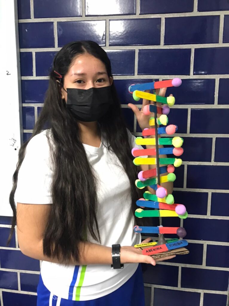 Maquetas del ADN por estudiantes del Bachillerato de Hipócrates