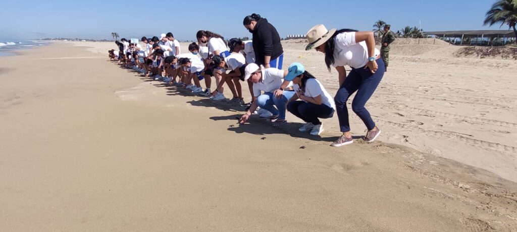 Estudiantes de la Preparatoria Hipócrates liberaron tortugas