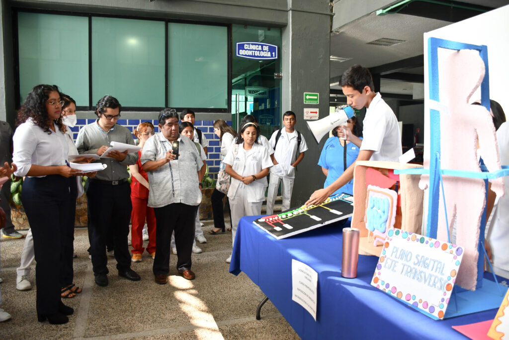 Maquetas de anatomía de estudiantes de Medicina