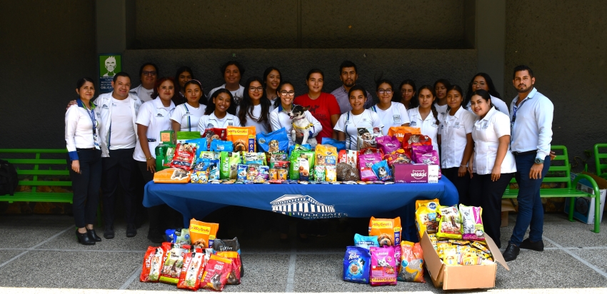 Donación de alimentos para un centro de bienestar animal