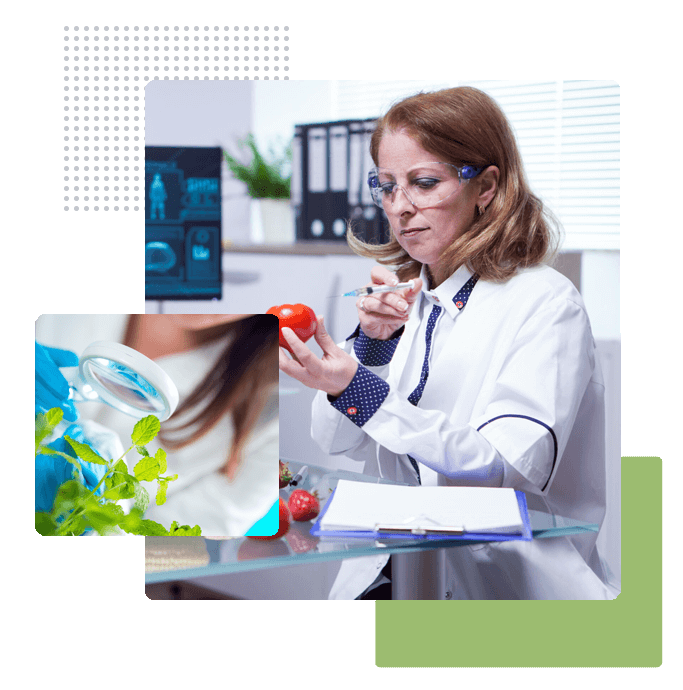 Representaciones en Licenciatura en Biología