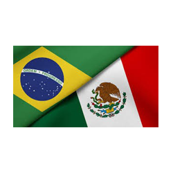Logo de Bramex