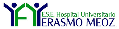 Logotipo ERASMI MEOZ