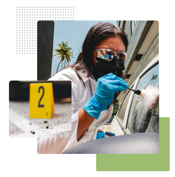 Ejemplo de Carrera de Criminología