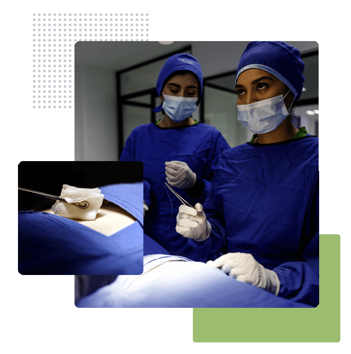 Ejemplo de Licenciatura en Médico Cirujano