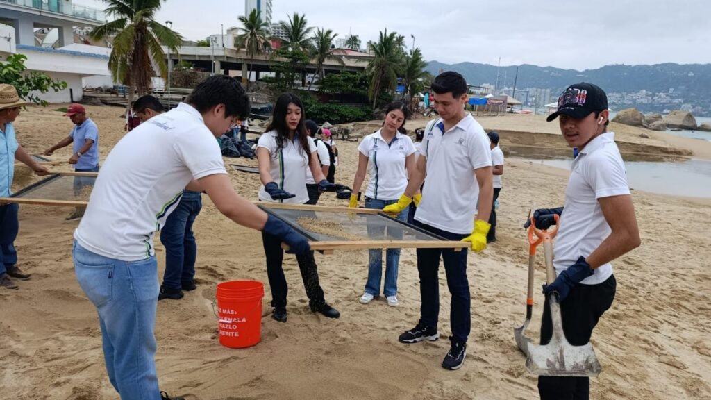 formacion extracurricular academico