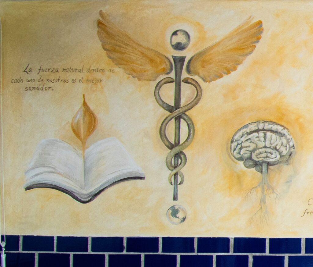 Mural completo de Universidad Hipócrates