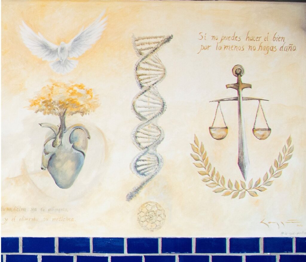 Mural completo de Universidad Hipócrates