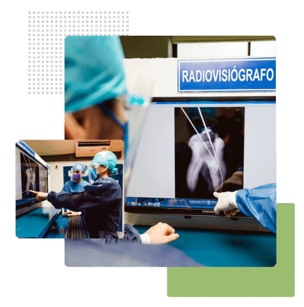 Especialidad en endodoncia