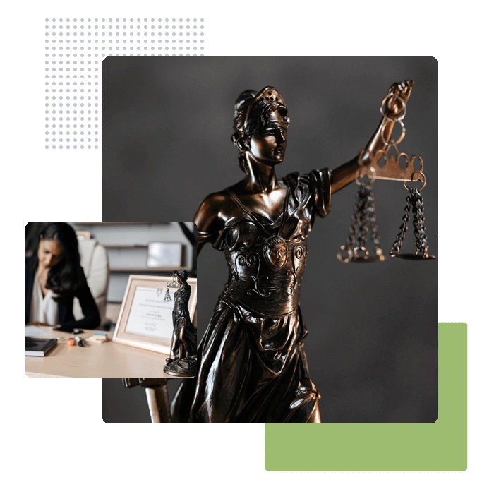 Ejemplos sobre doctorado en Derecho