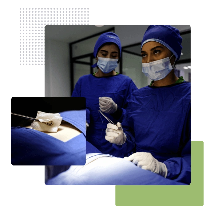 Ejemplo de Licenciatura en Médico Cirujano